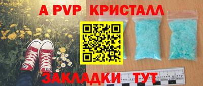 стафф Можга