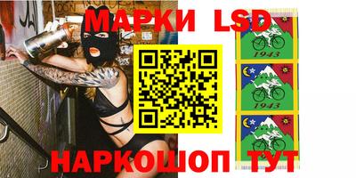 стафф Можга