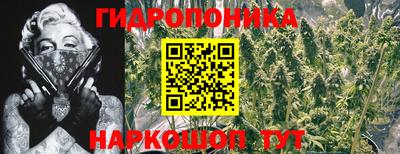 стафф Можга